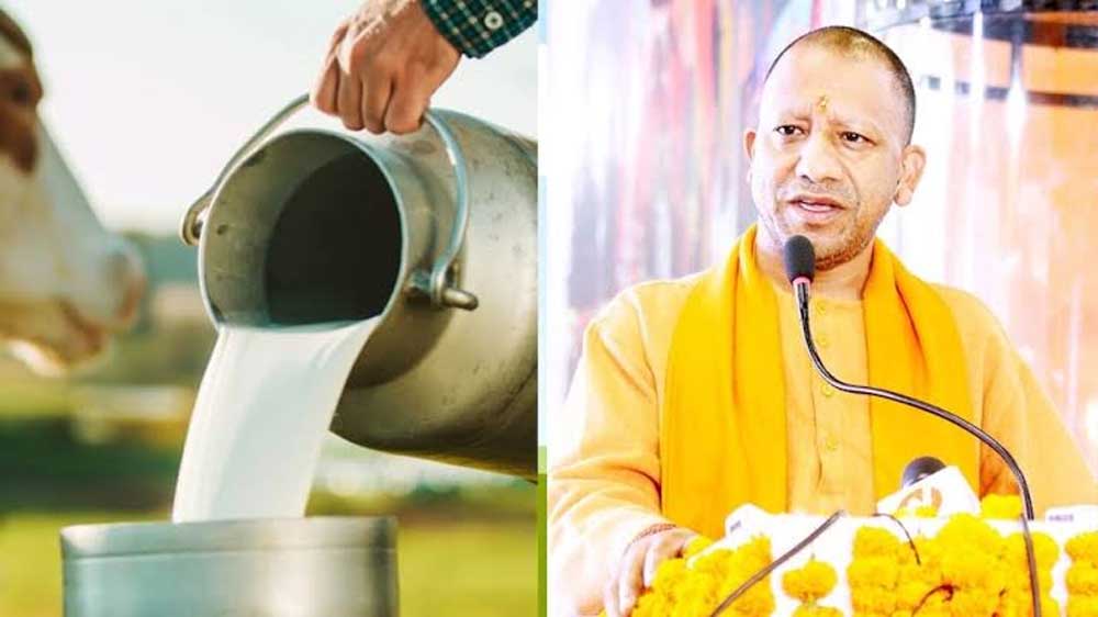 dUDH_01.jpg