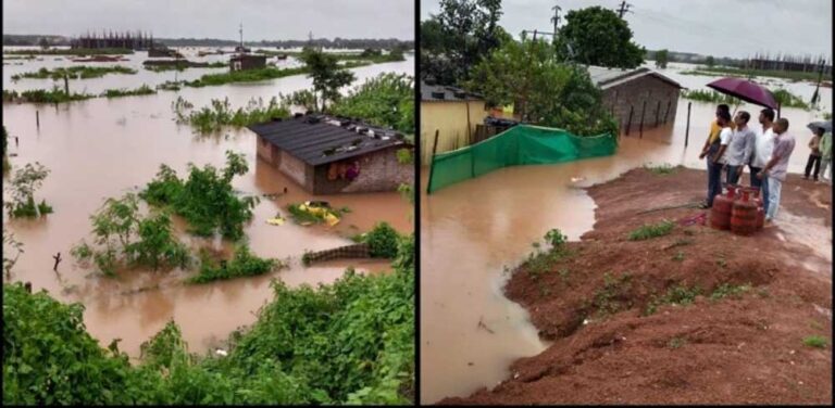 DIPA-3.jpg