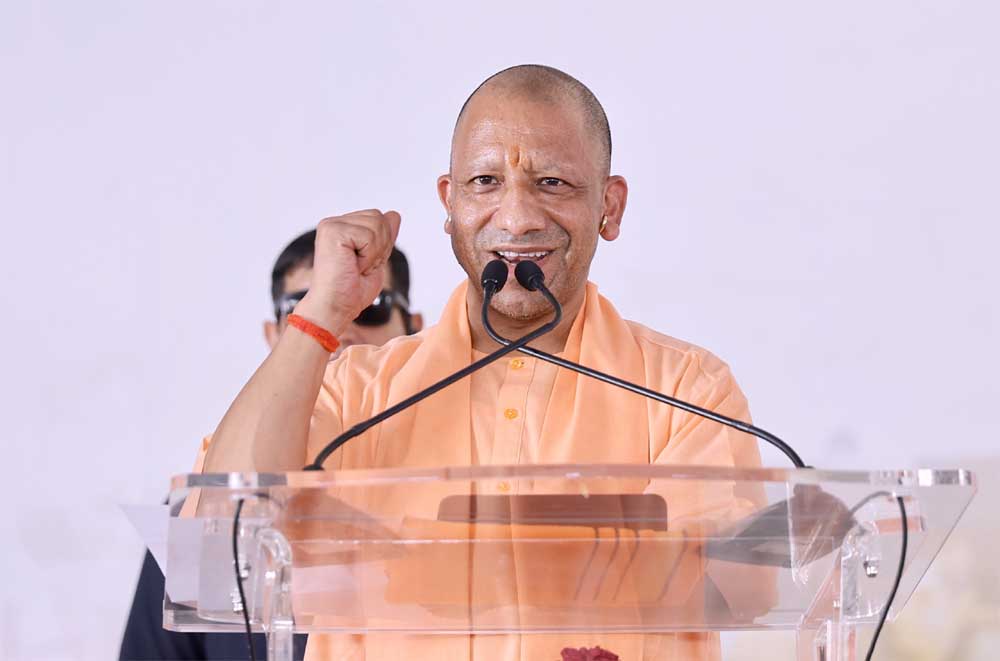 Yogi_01-7.jpg