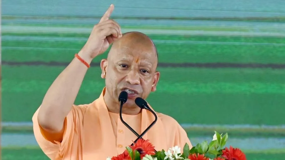 cm_yogi_11-14.jpg