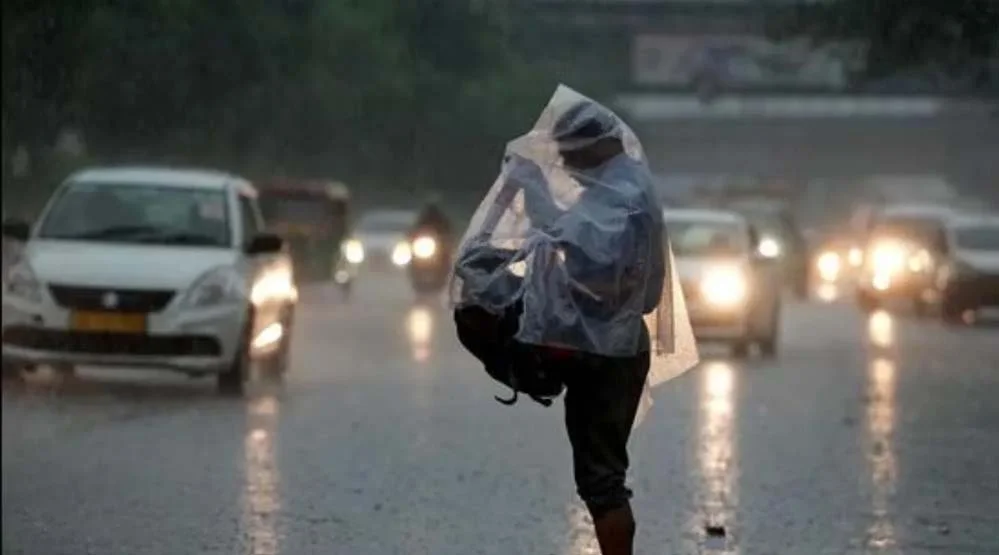 rain_81_4-1.jpg